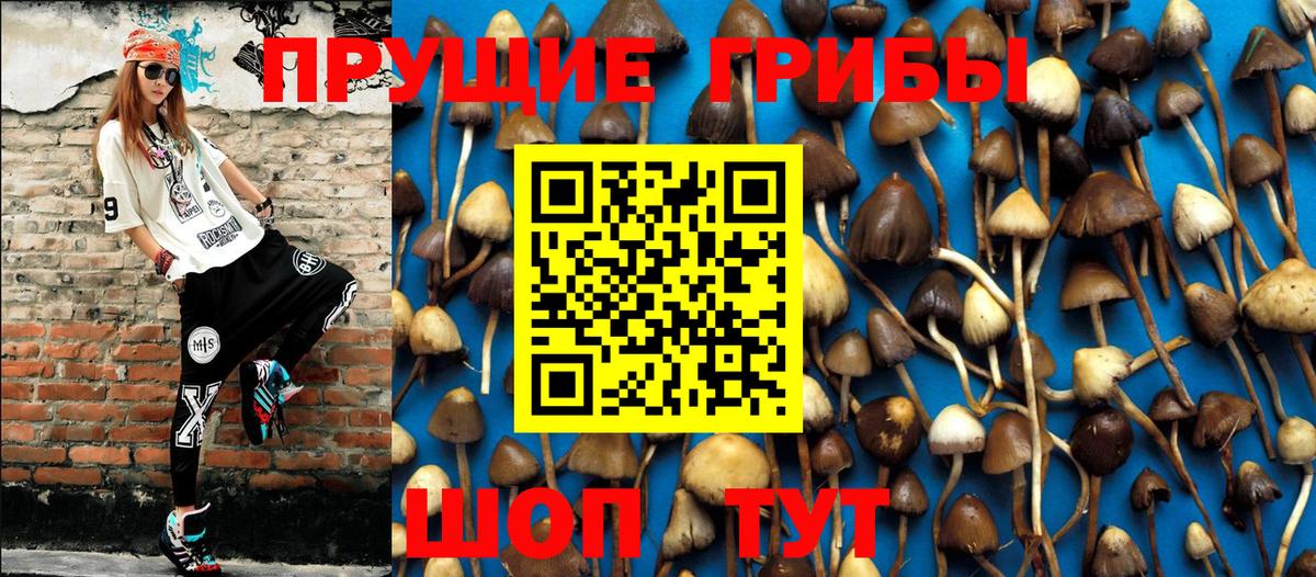 Псилоцибиновые грибы мухоморы  Вход с VPN  Ялуторовск 