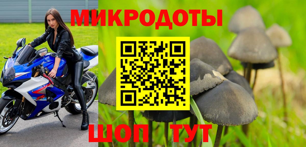 Галлюциногенные грибы прущие грибы Ялуторовск